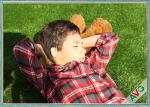 Similar Appearance to Real Grass Landscaping Grass Cost Effective
