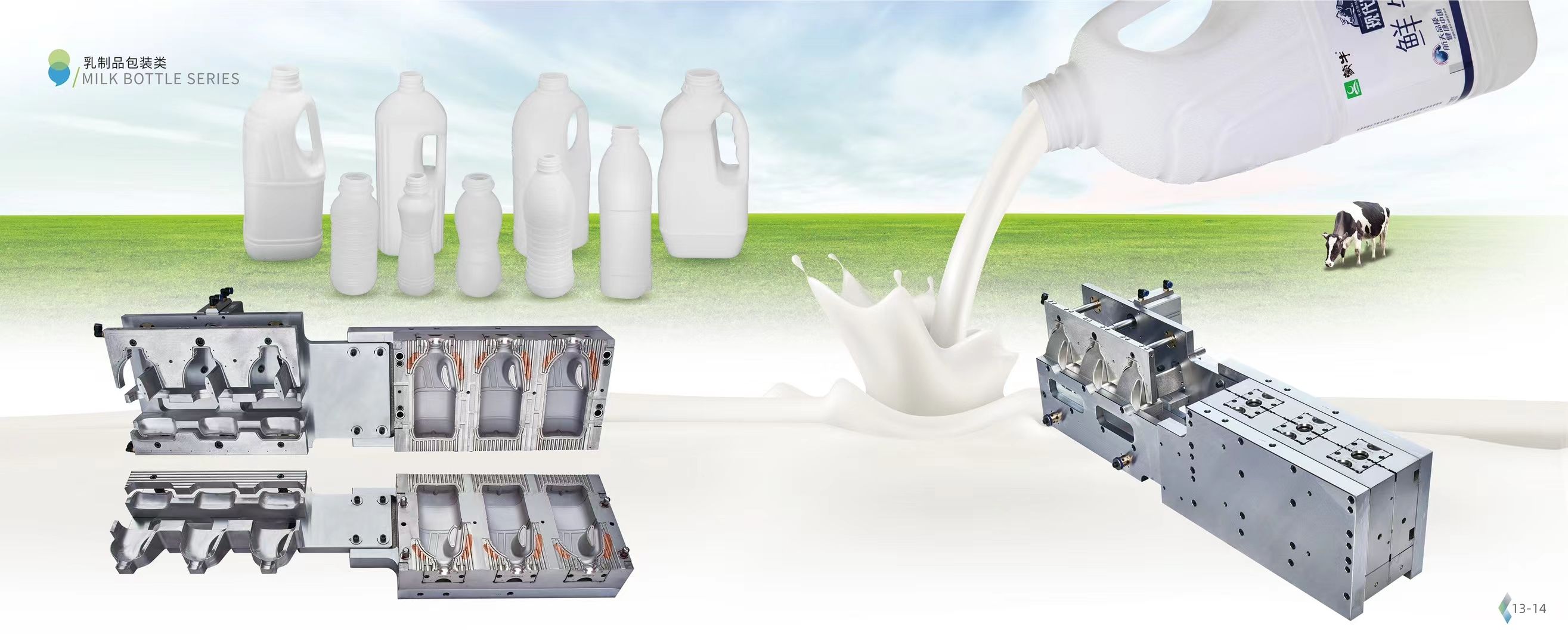 Plastic Detergent Household Bottle Blow Mold Mould