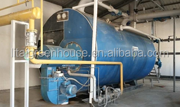 Customized Size Film Covered Poultry Farm Greenhouse Length 30-100m with Film Cover