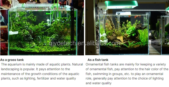 Customizable Laminated Glass Fish Tank the Ultimate Decorative Choice for Dining