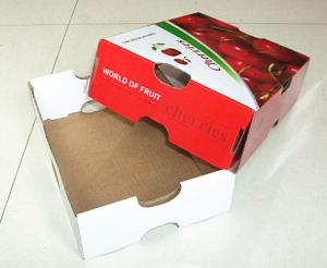 China custom corrugated paper fruit box wholesale