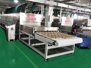 China 1170mm Width 85KW Microwave Dehydrator For Pulpmolding wholesale