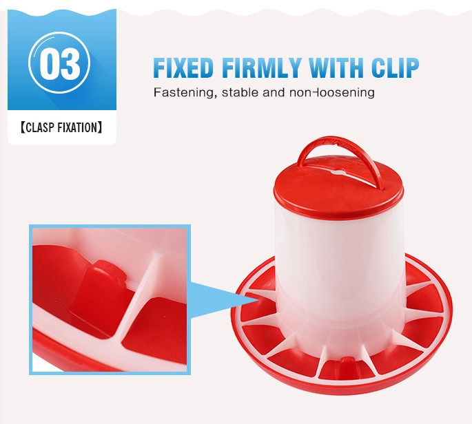 1kg 2kg 3kg 6kg 8kg Automatic Chicken Feeder