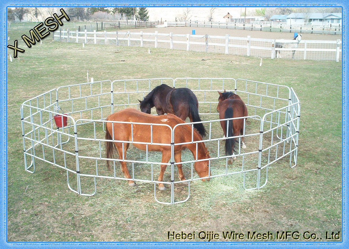 Hot Galvanized Horse Wire Mesh Fence Panels Steel Pipe Silver Color For Farm