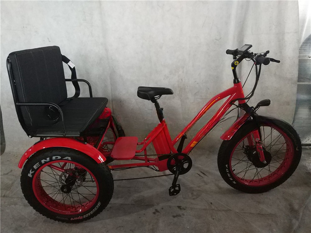 48V Electric Dual Motor 1000 Watt Long Range Fat Tire Cargo E-Bike with Fast Charging