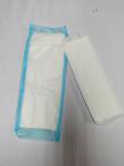 Regular Sanitary Napkin Disposable Maternity Sanitary Napkin Design 240mm 290mm