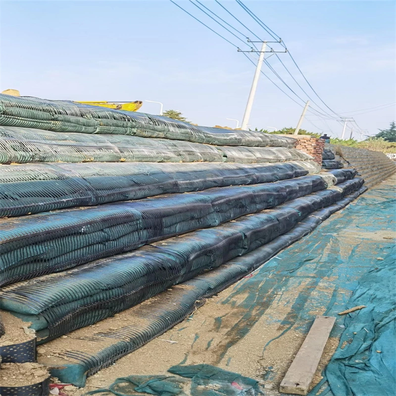 Geo Grid Ground Grid Plastic Uniaxial Polyester Geogrid Price Uniaxial Gravle Grid Ground for Driveway Basement
