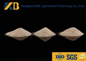 China High Protein Content Rice Protein Powder Feed Grade With Yellowish Colour wholesale