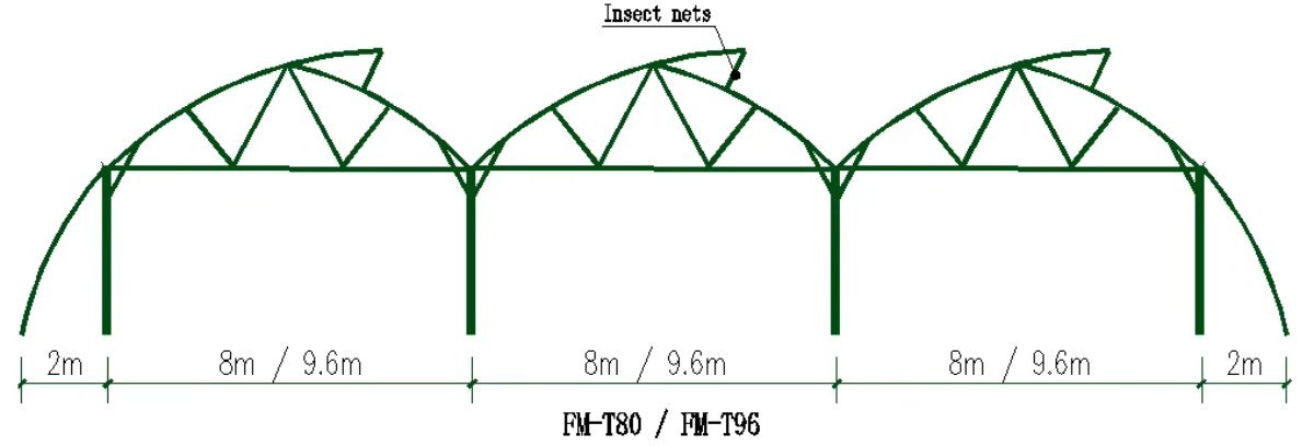 Plastic Film Greenhouses 5.jpg
