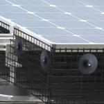 6 Inch Solar Panel Bird Mesh