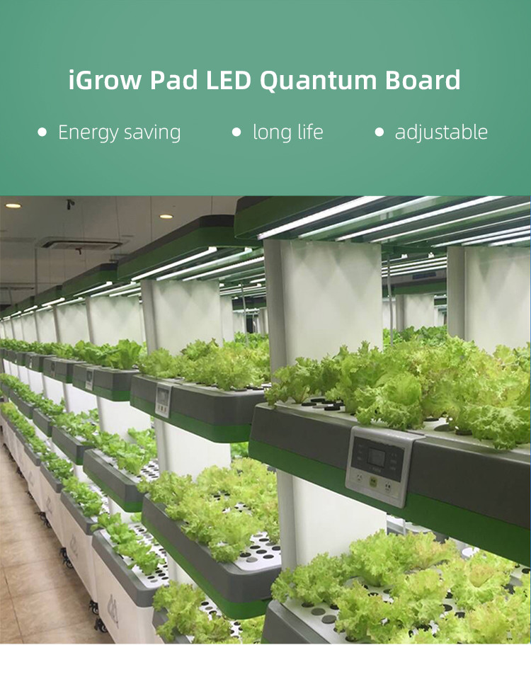 Minimalist Design 240W 2.7umol/J UV LED Grow Lights
