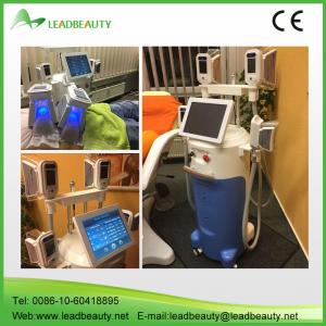 China antifreeze membranes for cryolipolysis machine hot selling at home wholesale