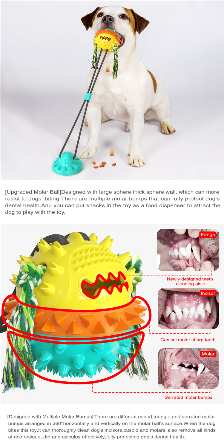 New Series Cleaning Teeth Extra Durable Pet Interactive Chewing Biting Dog Toy Suction Cup With Rope