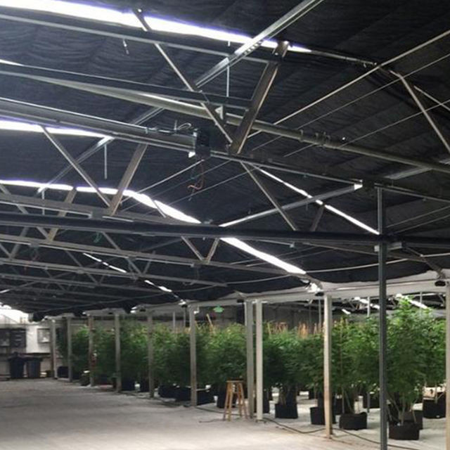 Automatic Fully Light Deprivation Mushroom Polyhouse Blackout Greenhouse For Medical Herb