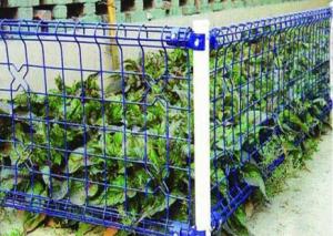 China 75*150mm Double Loop BRC Welded Wire Garden Fence wholesale