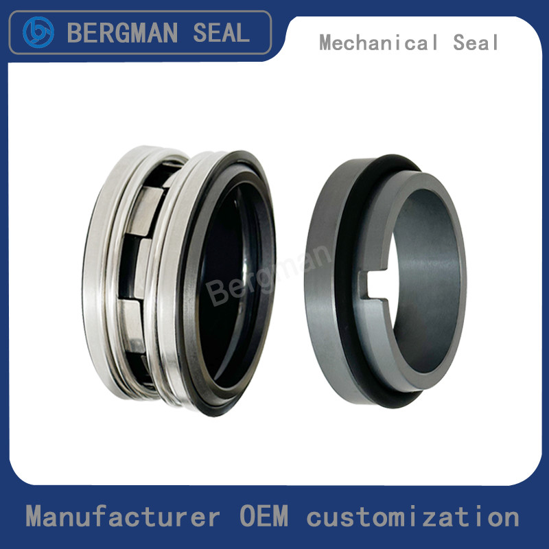 BERGMAN Replaces John Crane 2100-S 12mm-100mm G60 G4 G6 G9 G13 G16 BS Bo BP Pump Mechanical Seal