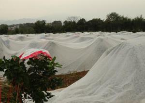 China Waterproof Agriculture Non Woven Fabric Roll 4% UV Treated Weed Control wholesale
