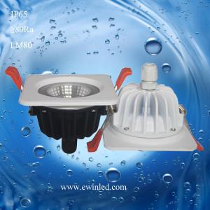 China 2015 best seller 9W IP65 Waterproof LED downlight wholesale