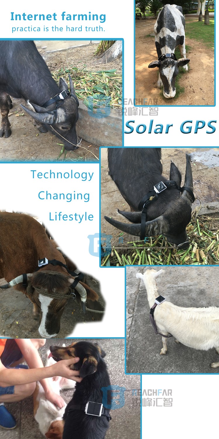 2016 mini waterproof solar powered cow gps tracker install free play store app rf-v26