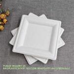 Eco-Friendly Wholesale Bio Disposable Sugarcane Food Container Snack Cookie