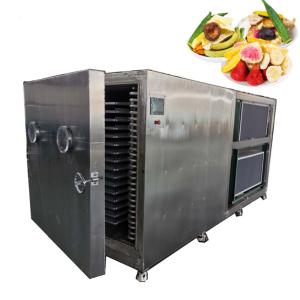 China 15kg/Batch Pharmaceutical Dryers PLC Fruit Freeze Drying Machine wholesale