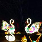 50cm-30m Chinese Festival Lantern , Show Silk Outdoor Lanterns