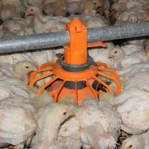 China HI HOPE Chicken Farm Equipment 45cm Dia Pipe wholesale