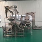 Stainless Steel Industrial 320l Nut Frying Line