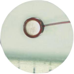 China Micro Machining Medical Device Components Metal Material ISO Certification wholesale