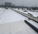 Warehouse of PVC Waterproofing Membrane for Warehouse Construction Projects