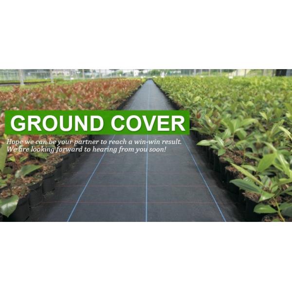 OEM Black Woven Polypropylene Ground Cover Length Customized Anti Corruption