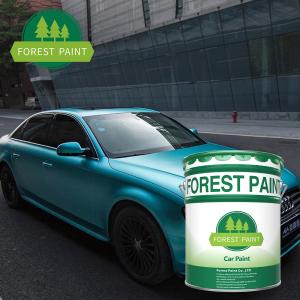 China Willis Amusement Facilities Advertising Paint Electric Viewing Car Coating wholesale