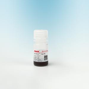 China Protein Purification Amino Magnetic Silica Beads 500nm 10 mg / mL 50 mL wholesale