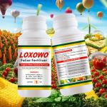 Manufacturing In China Hot Sale Plant Organic Compound Fertilizer