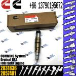 Diesel Common Rail Fuel Injector 1948565 2030519 2031836 2031835 2086663 2419679
