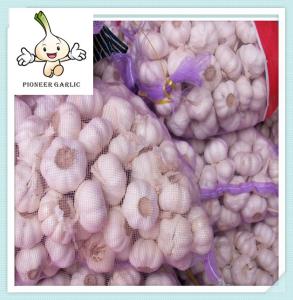 China Normal white garlic,low price,10kg,20kg mesh bag in lowest price garlic wholesale