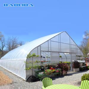 China Agricultural High Hoop Tent Greenhouse Steel Frame For Tomato Growth wholesale