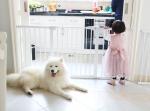 Best selling Children's Fence Baby Room Slam Gate Child Safety Gate Fence Quick