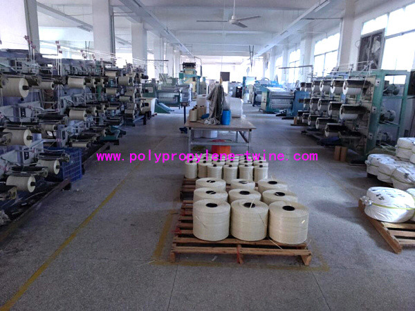 RW Normal PP Filler Yarn 22000D 2.44G/M Polypropylene Fibrillated Yarn