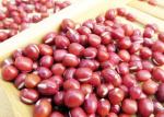 Edema Reduction Main Agricultural Products Vigna Umbellata Red Adzuki Beans