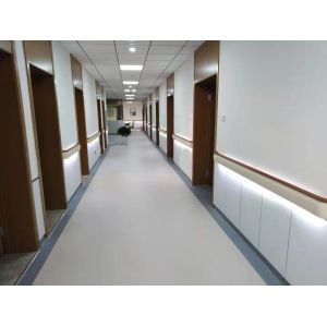 OEM Crashproof Medical Hospital Corridor Handrail Wall Guard 1.4mm