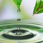 Natural Melaleuca Alternifolia Leaf Water Hydrosols CAS 57-55-6 99-93-4