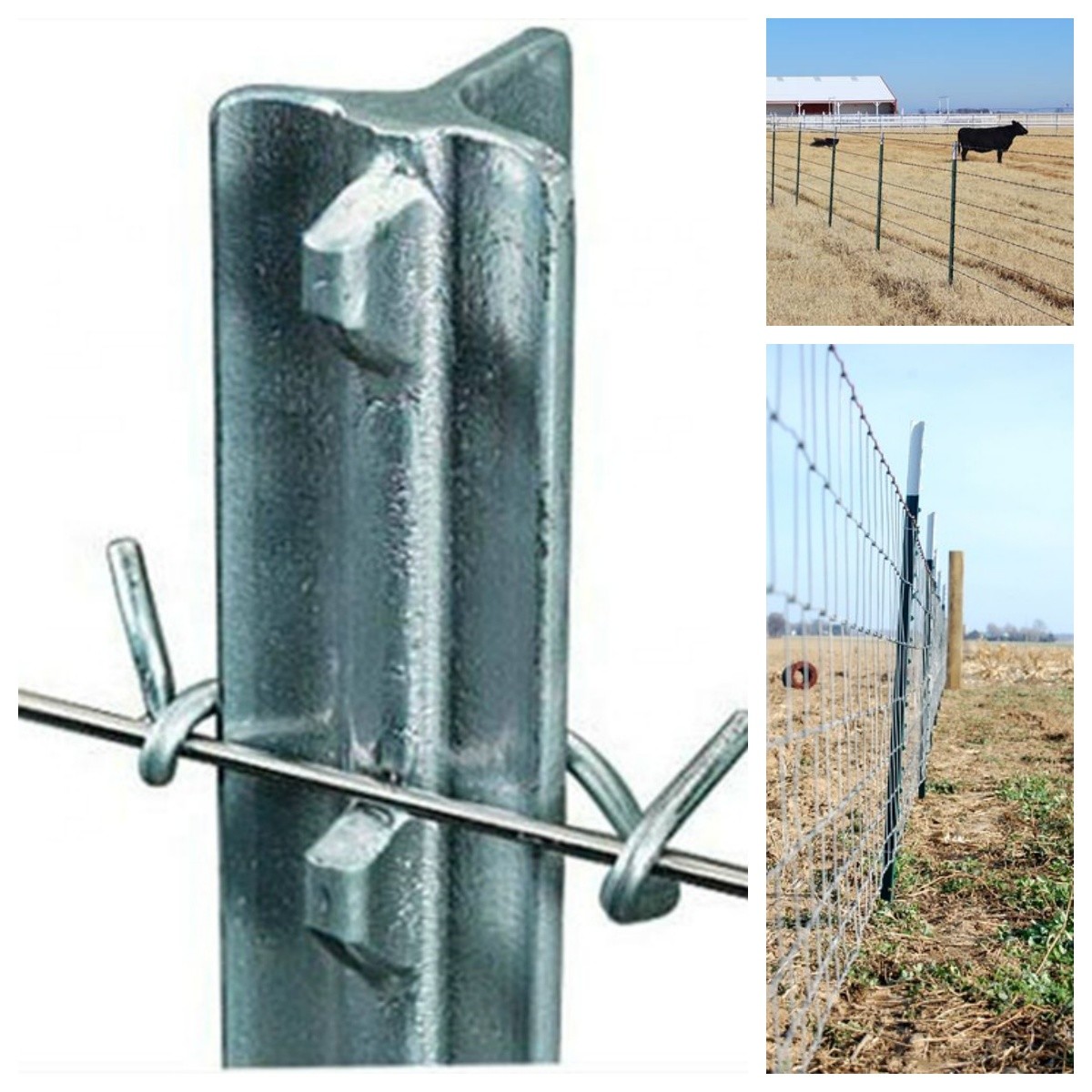 Galvanized T Posts 1.58kg-2.04kg/m Secure Livestock Fencing Solution