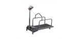 Rehabilitation Training Dog Training Treadmill For Small Pet Animals
