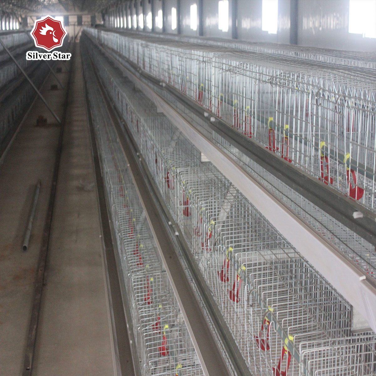 60-120 Days Baby Chick Cage Galvanized Multi Poultry Broiler Cage Chicken Raising