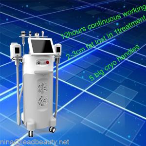 China Cryolipolysis freezing fat device with 2 Big Japan imported copper radiator wholesale