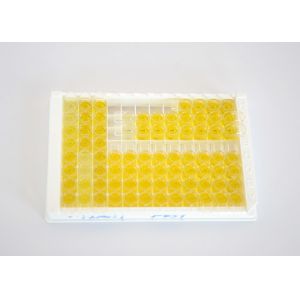 96 Test Aflatoxin M1 Mycotoxin ELISA Kit For Milk