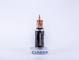 China Underwater Waterproof Electrical Cable WDZ-YJY23 0.6kv wholesale