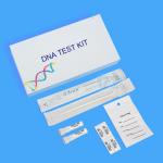 150mm Dna Sample Collection Kit Home Parent Child DNA Test