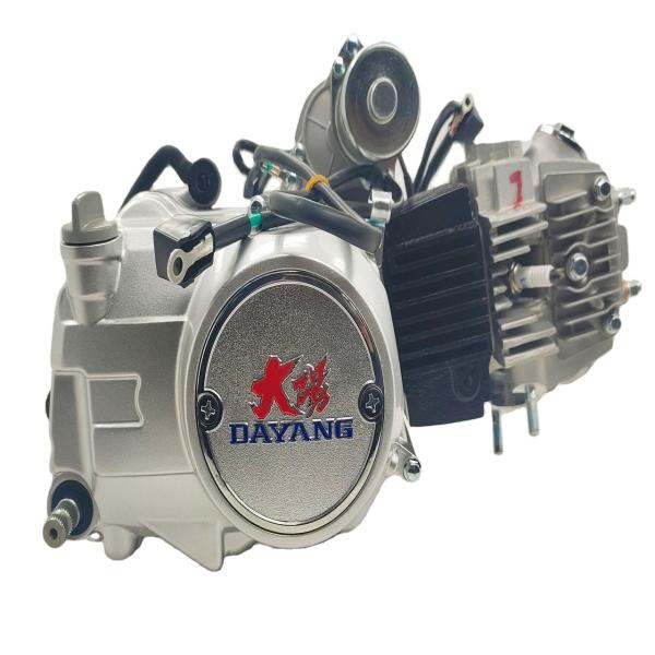4 Stroke DAYANG Complete Motorcycle Nature 110CC Gasoline Engine Ignition Style Origin CCC
